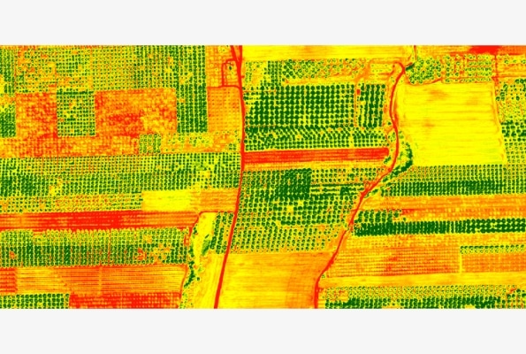 ethnika-programmata-eleagro-01