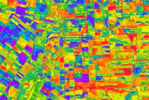 ethnika-programmata-eleagro-03